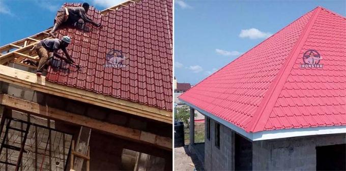 è±æç½ç«-9